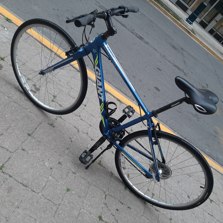 Giant Escape Road Bicycle 🚲 that sails ⛵ - photo 2