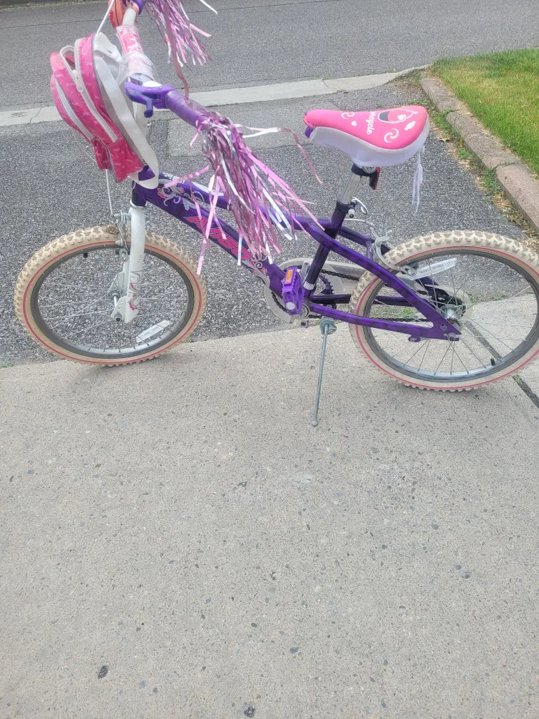 Avigo Girls' Bike $35 obo thumbnail