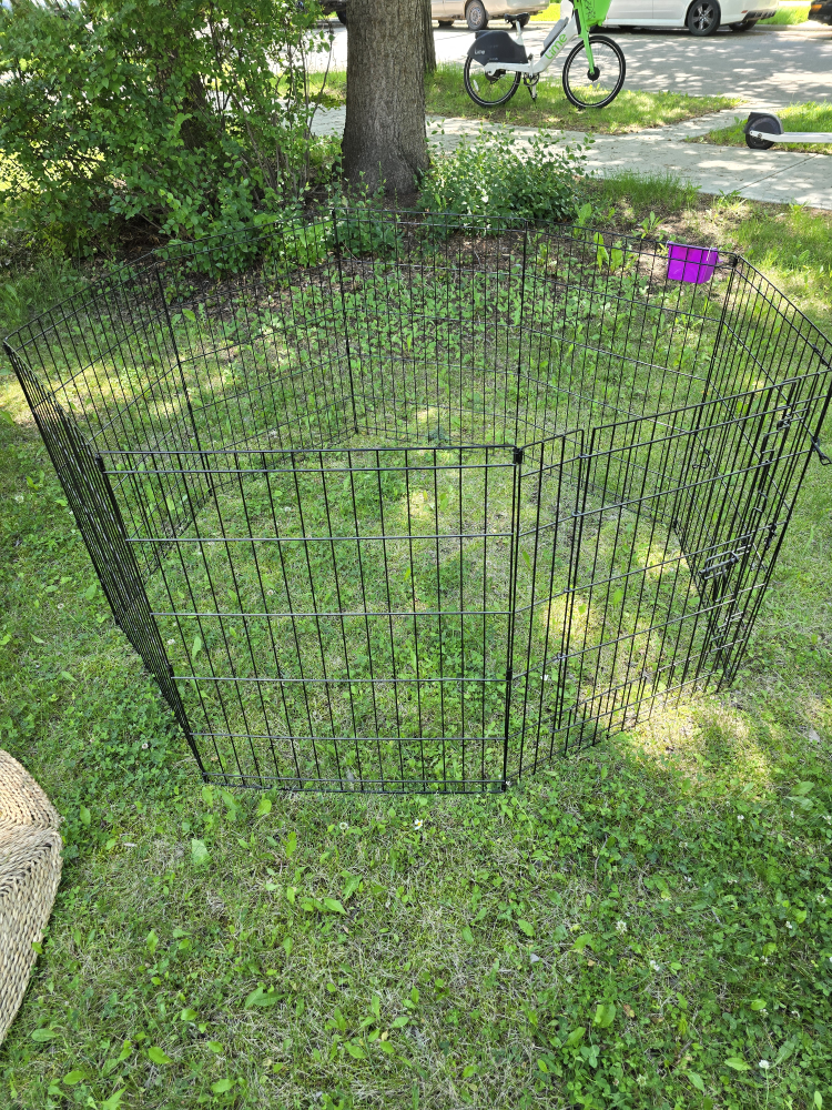 Black Metal Pet Playpen