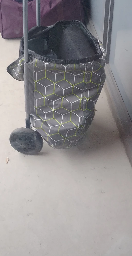 Rolling shopping Cart #freecycle