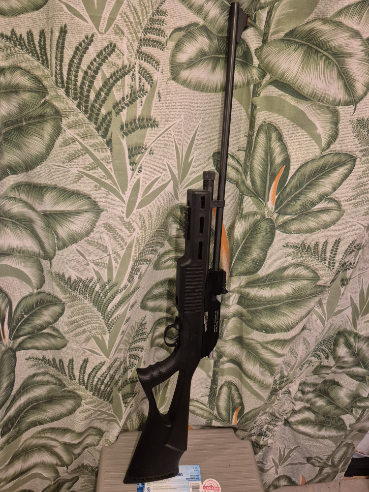 Beeman Power Series 1085 .22 Caliber Air Rifle
