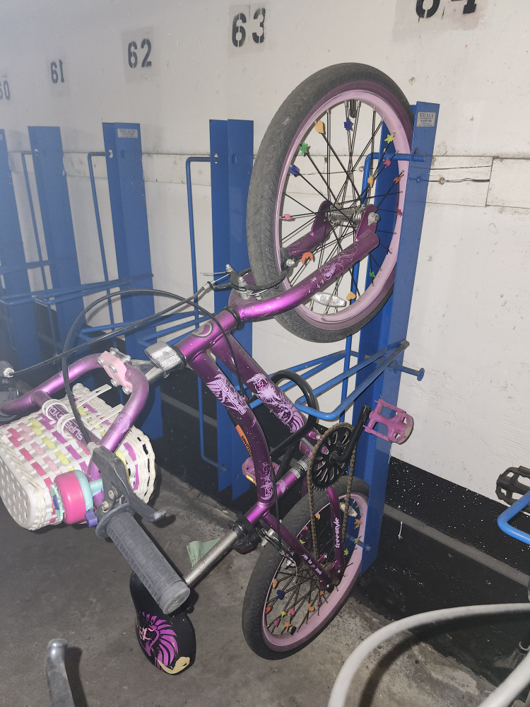 Purple Trexxie Girls Bike - 20" Dreamweaver - photo 2