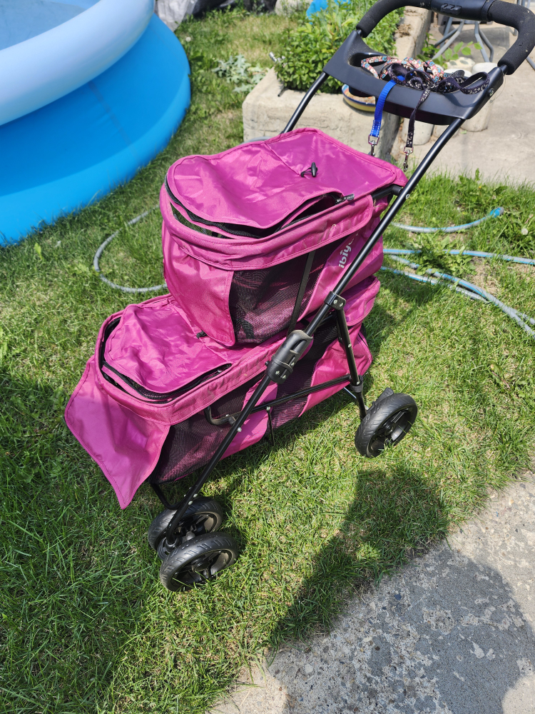 Ibiyaya Double Decker Pet Bus - Pink - photo 5