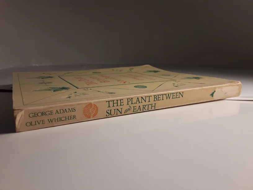 *RARE* The Plant Between Sun and Earth image indicator(5)