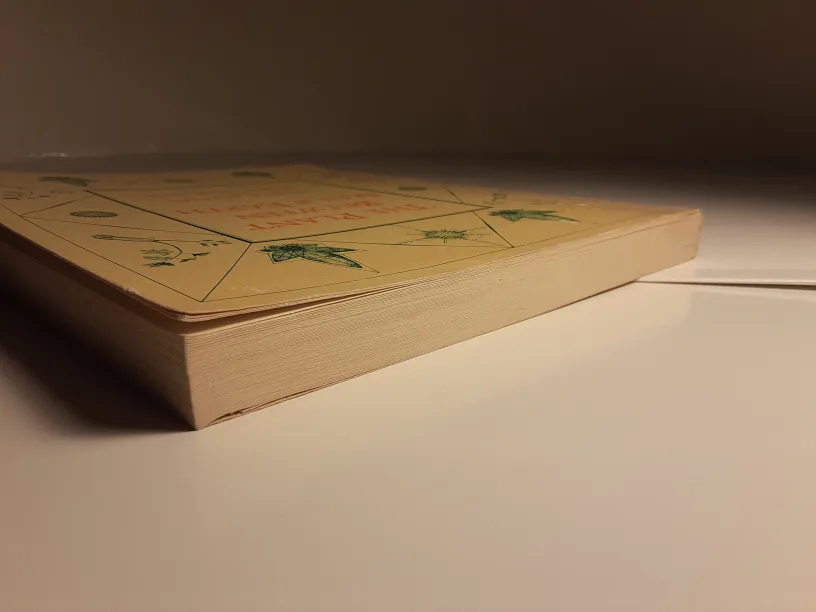 *RARE* The Plant Between Sun and Earth image indicator(6)