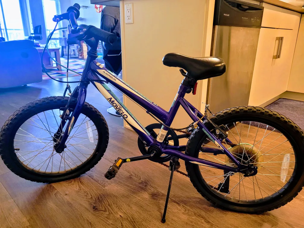 Movelo Algonquin 18" Girls' Steel Mountain Bike