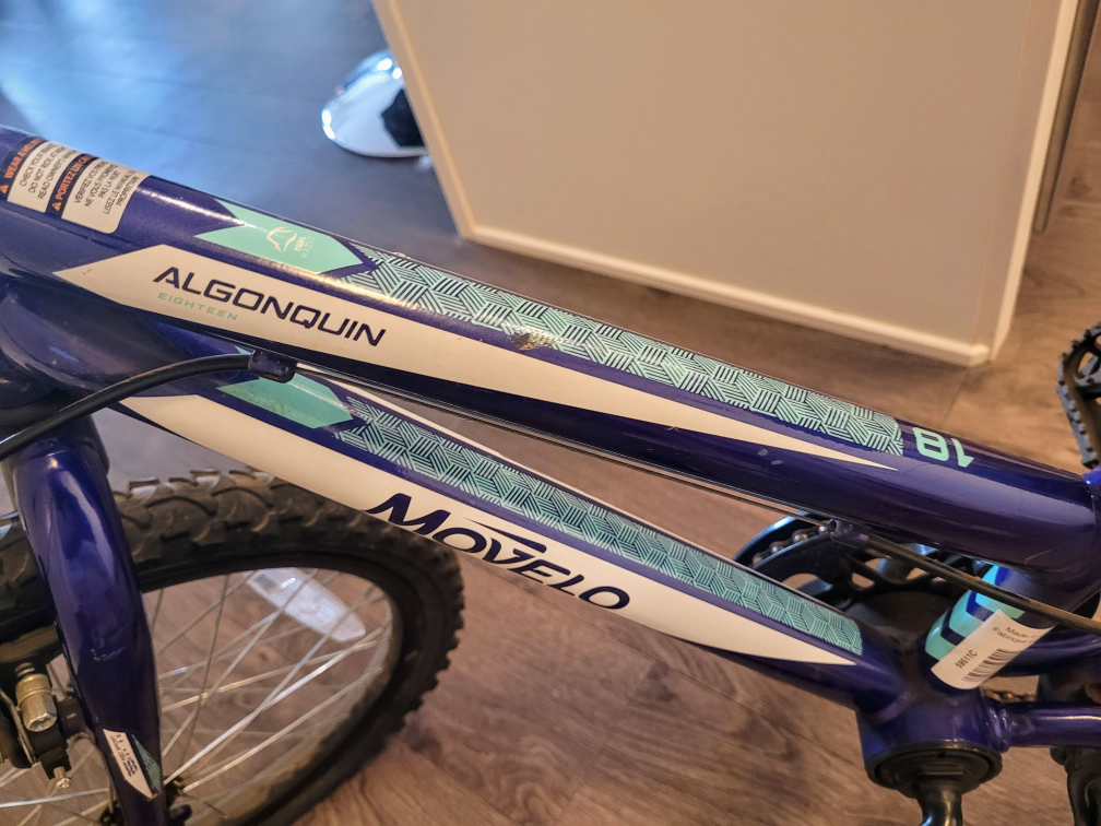 Movelo Algonquin 18" Girls' Steel Mountain Bike - photo 2