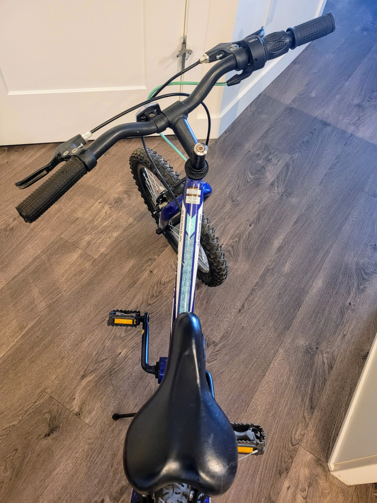 Movelo Algonquin 18" Girls' Steel Mountain Bike - photo 3