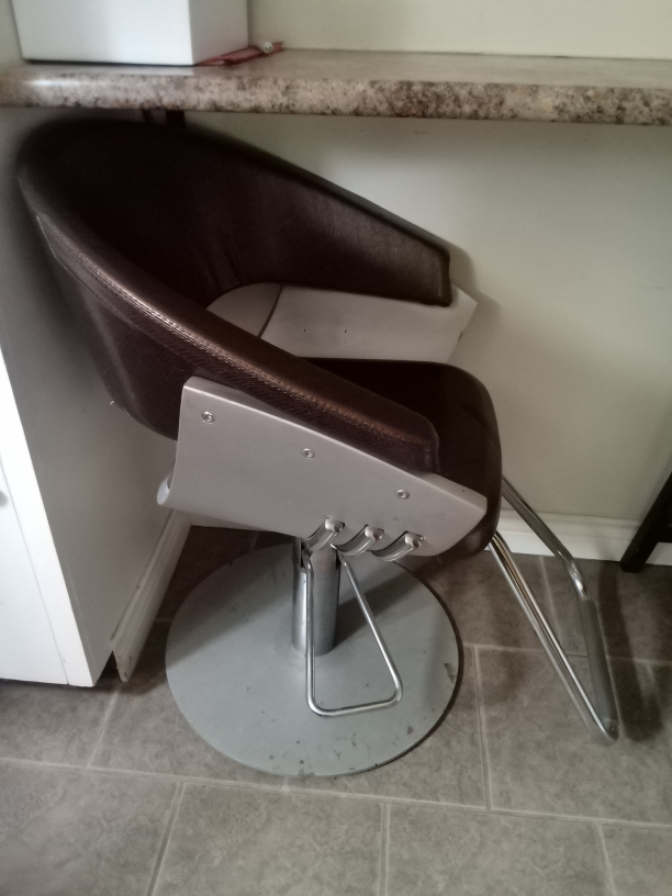 Salon Chair - Swivel, Hydraulic - photo 2