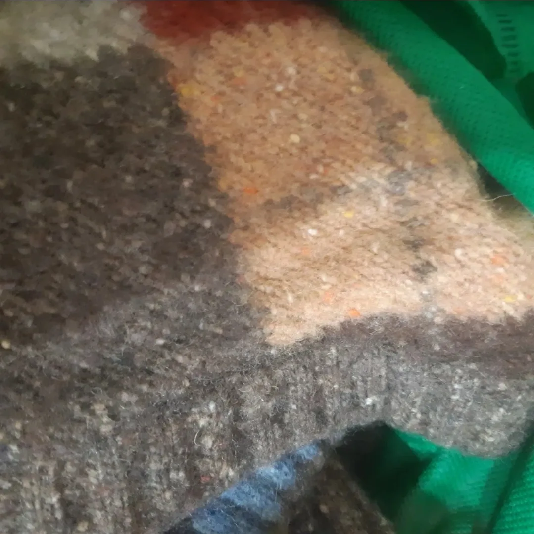 🥕 Argyle Patterned Sweater #Freecycle image indicator(2)