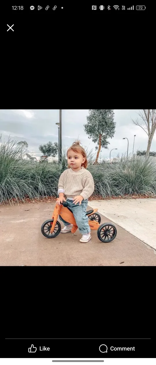 Kinderfeets 2-in-1 Balance Bike / Tricycle image indicator(4)