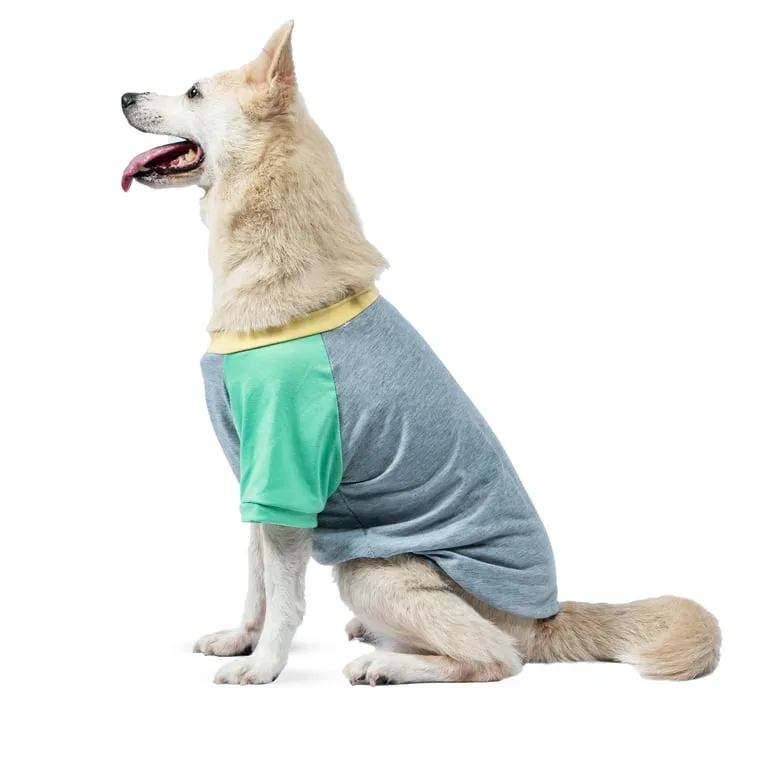 The Dodo Colorblock T-Shirt & Bandana Set - Size L image indicator(8)