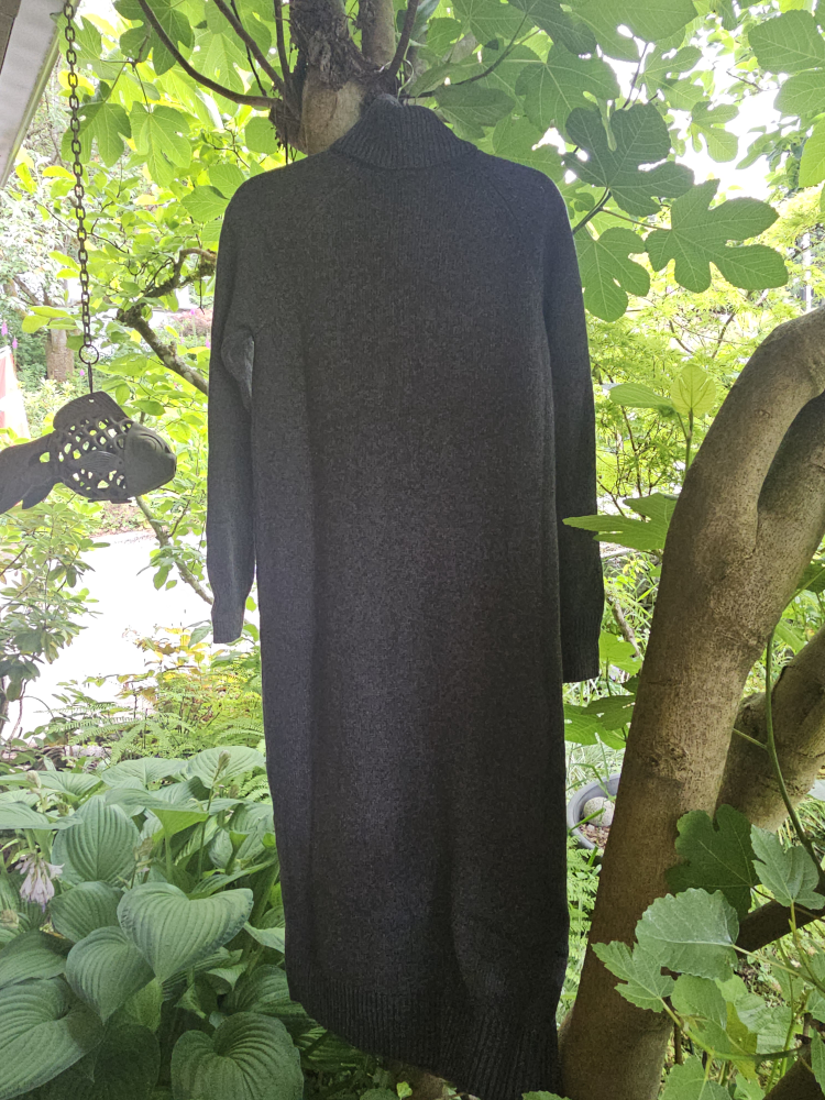 Tentree Highline Turtleneck Dress
