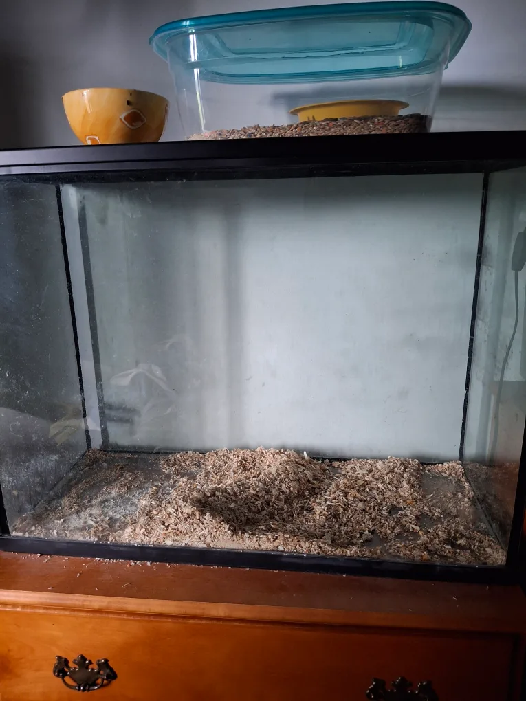 aquarium/ Terrarium with lid 30g? thumbnail