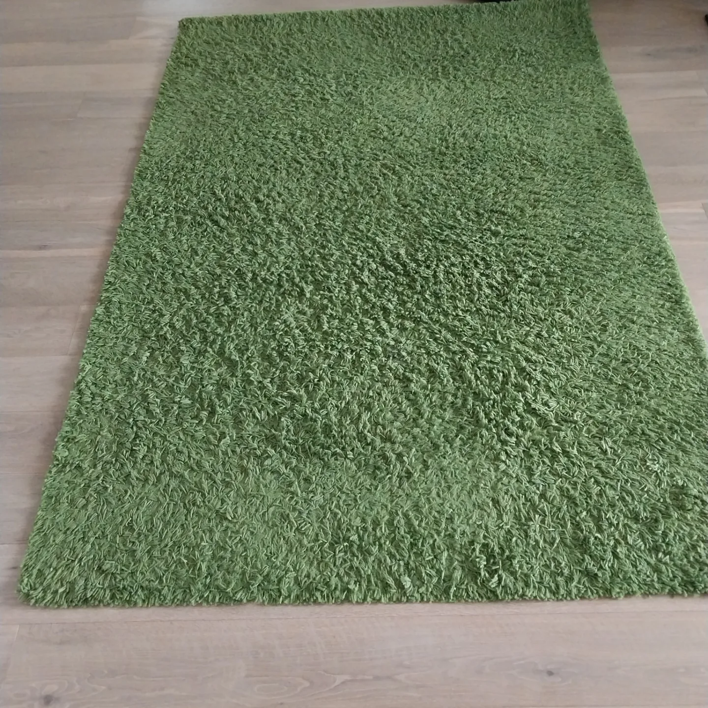 Green Shag Rug from Ikea thumbnail