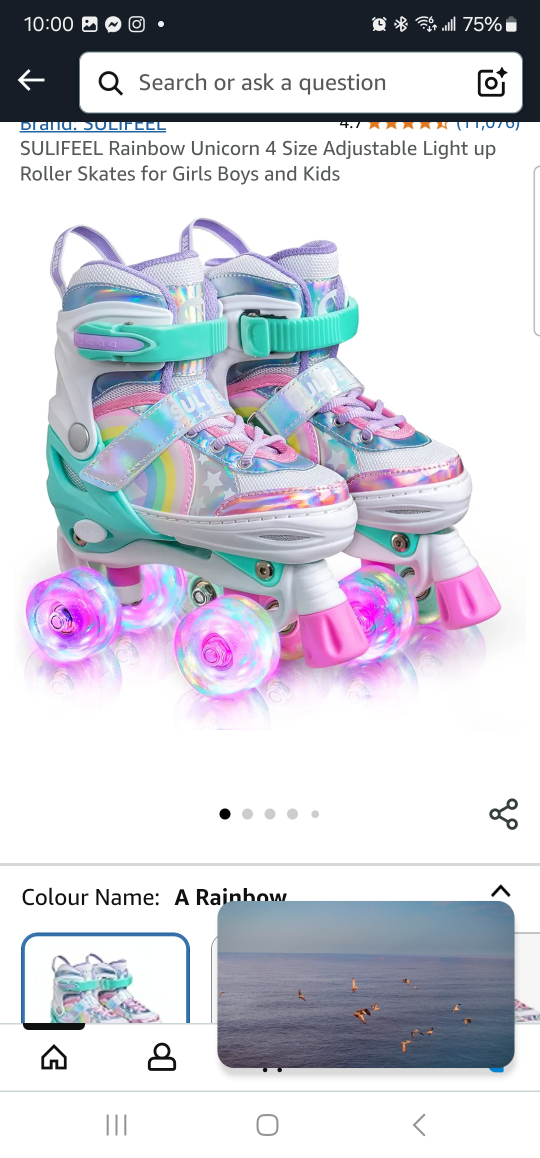 SULIFEEL Rainbow Unicorn Roller Skates - Small