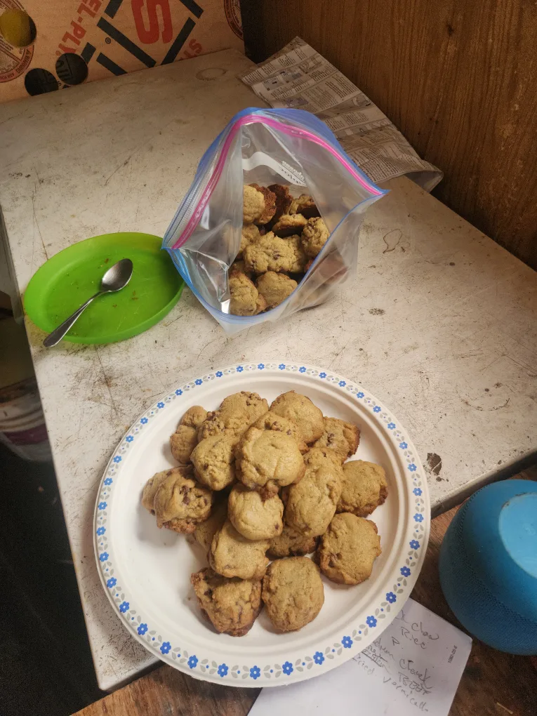 fresh cookies image indicator(3)