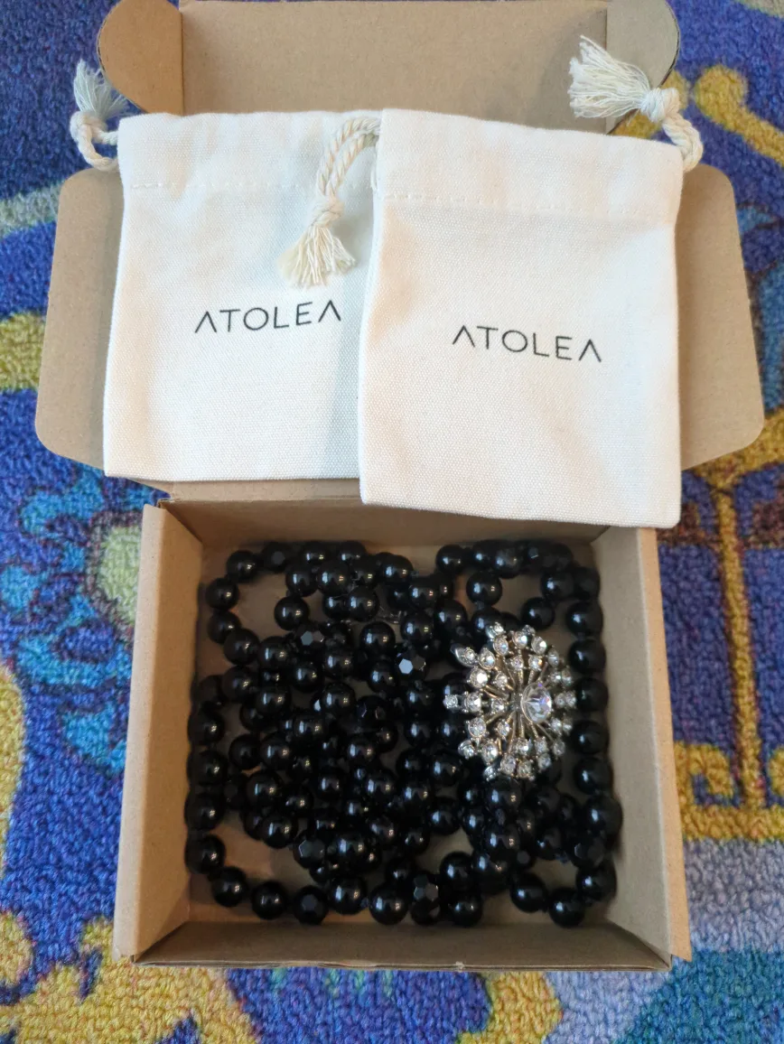 Black Beaded Necklace with Brooch and Pouch from Stella & Dot thumbnail