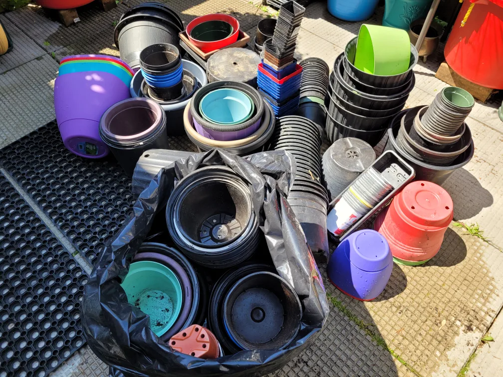 Free Plant Pots thumbnail