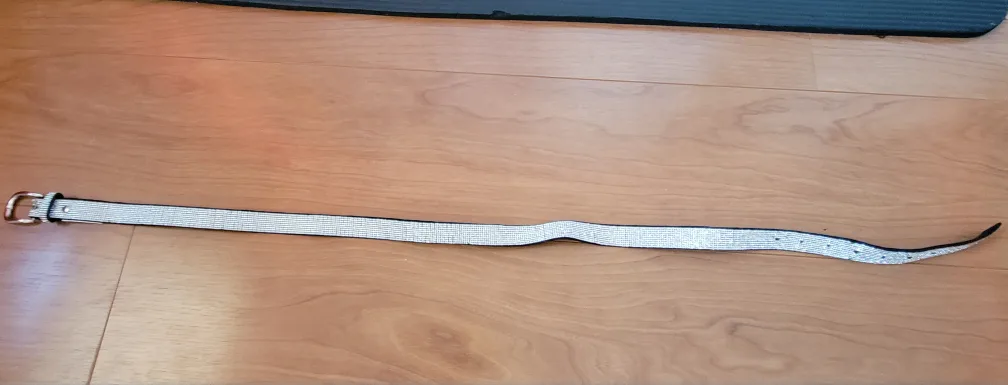 Rhinestone Belt thumbnail