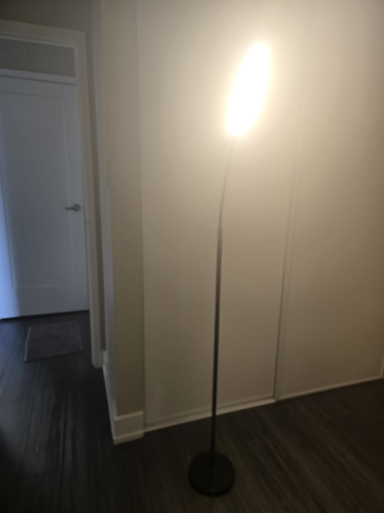 LED floor lamp for Living Room  Contact 437 838 3346 - photo 4