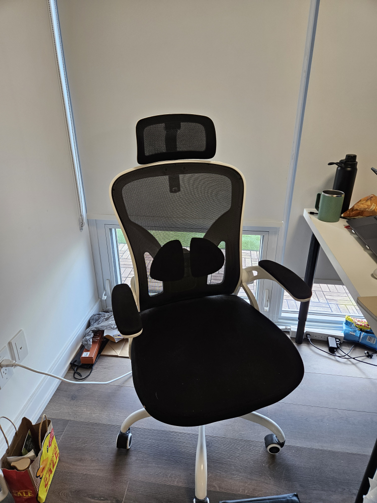 Ergonomic Office Chair [moving out]