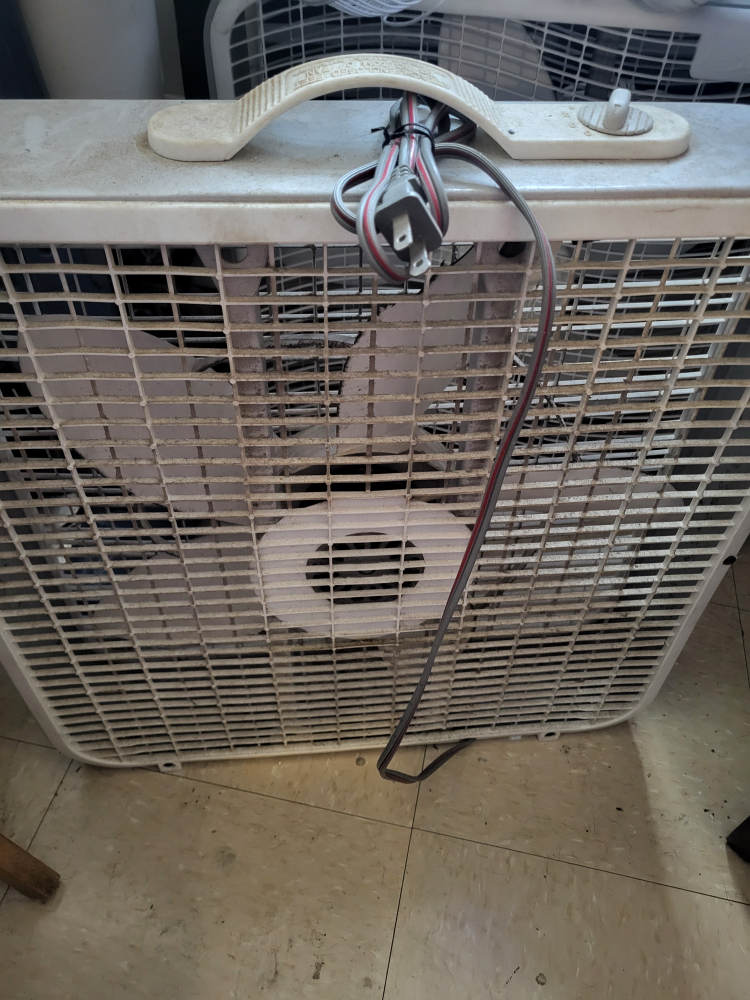 Lakewood Box Fan