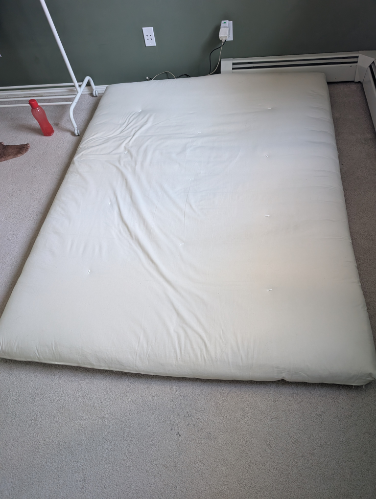 Futon Mattress - Great Condition!