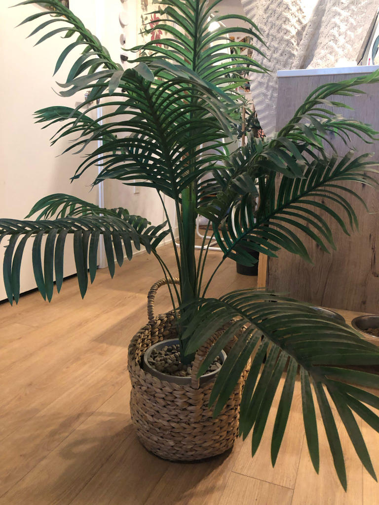 Faux Palm Tree In Woven Basket - photo 2
