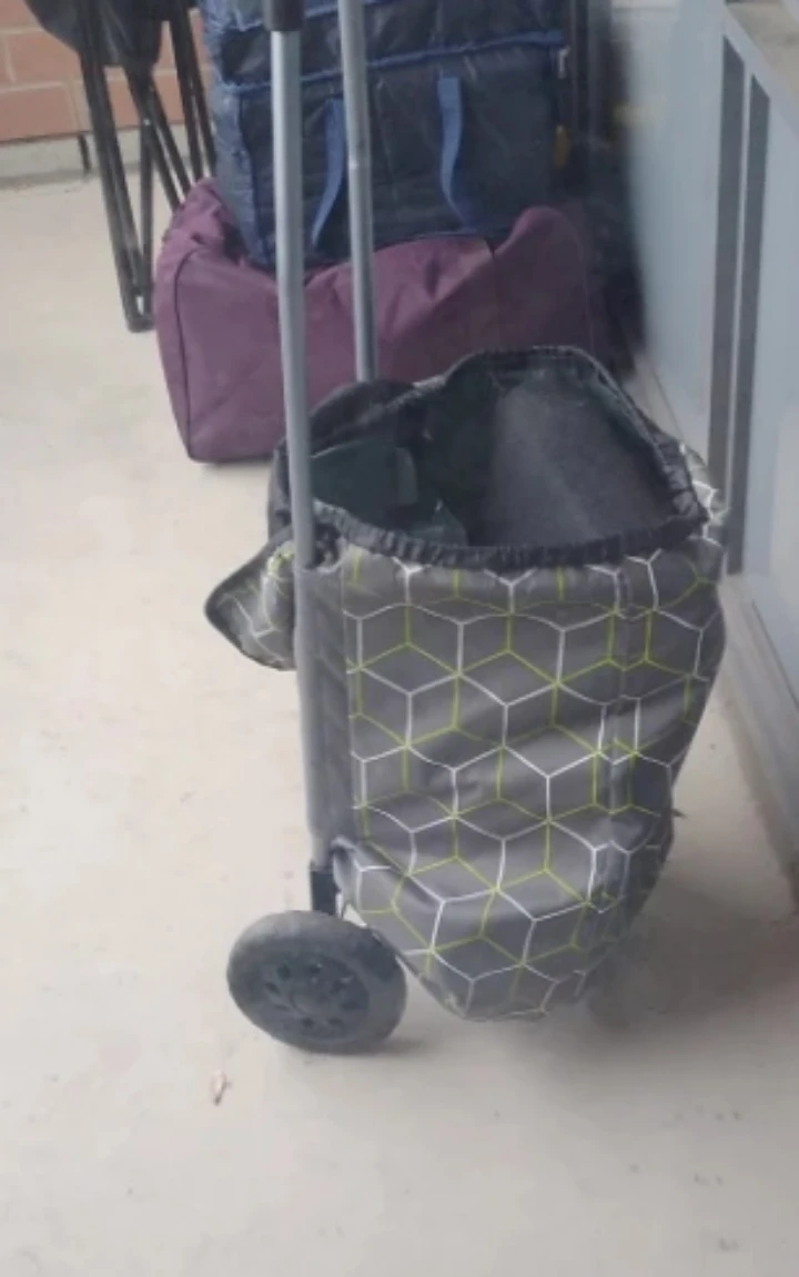 Rolling shopping Cart #freecycle - photo 2