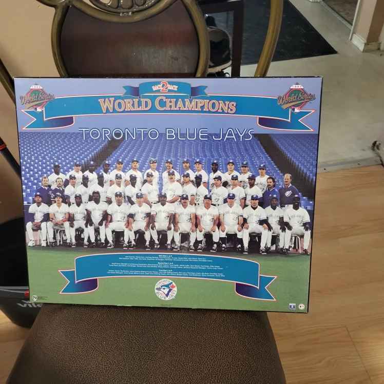 Toronto Blue Jays World Champions Wood Picture thumbnail
