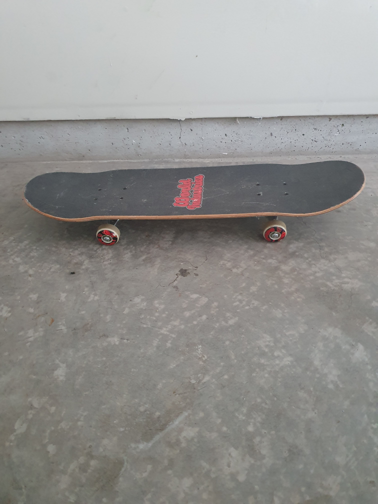 World Industries Skateboard