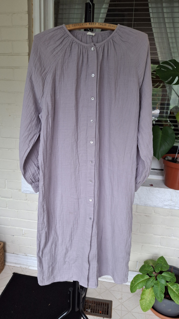 Wilfred Free Dress - Size XS