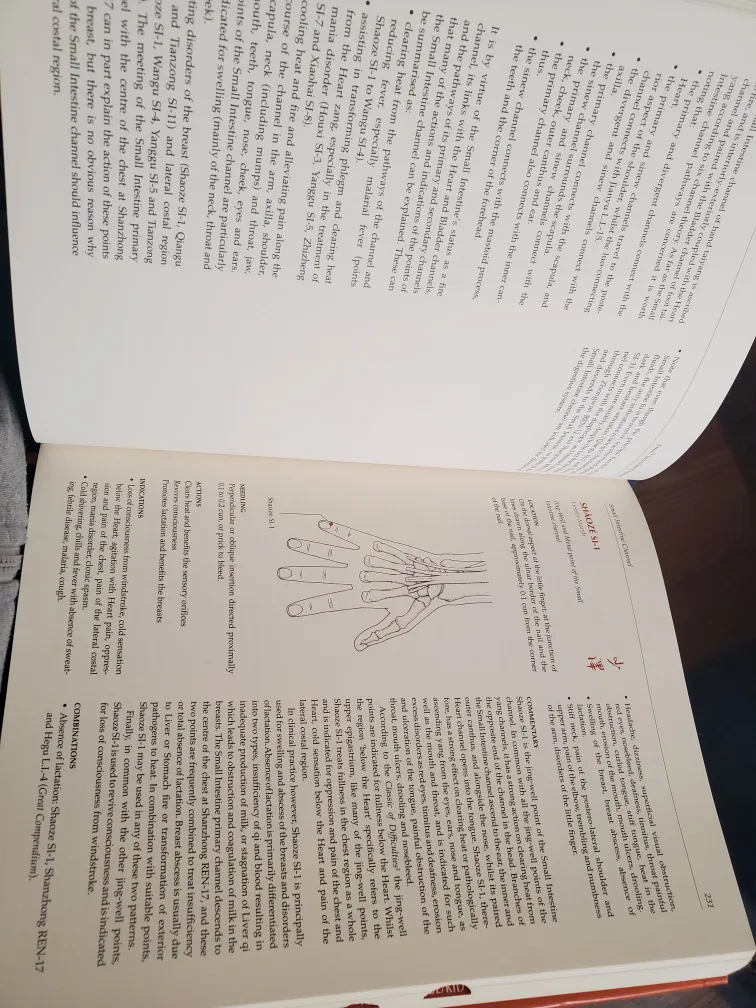 Manual of Acupuncture Book by Peter Deadman image indicator(5)