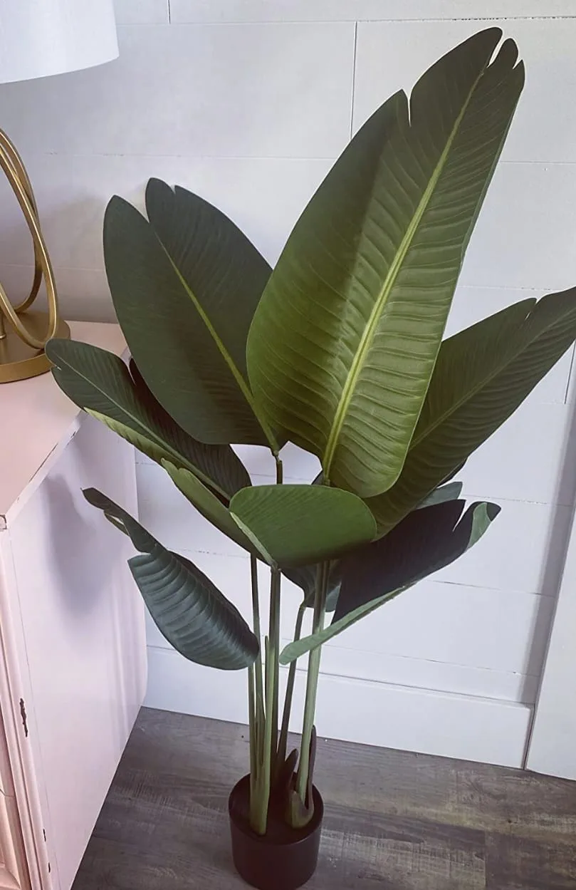 Artificial Bird of Paradise Plant.4ft image indicator(7)