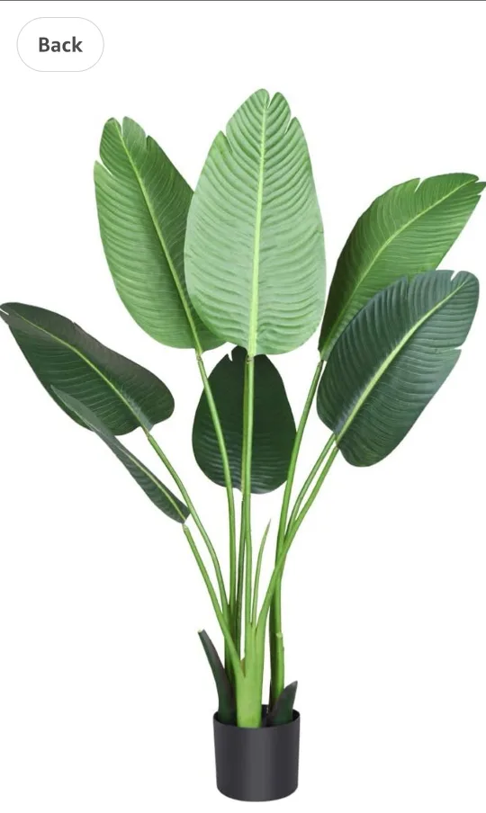 Artificial Bird of Paradise Plant.4ft image indicator(8)