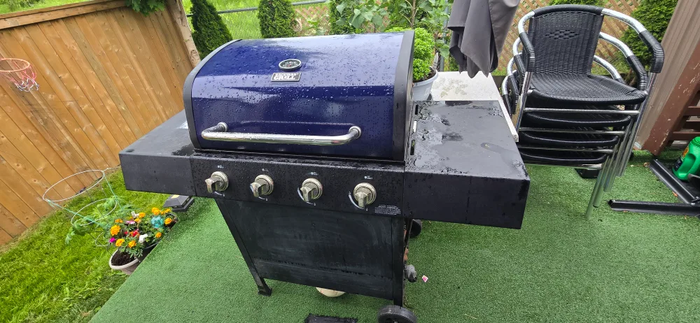 Stylish Grill thumbnail