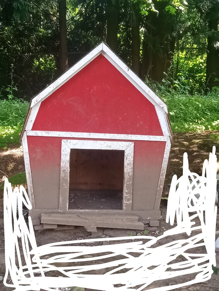 dog house thumbnail