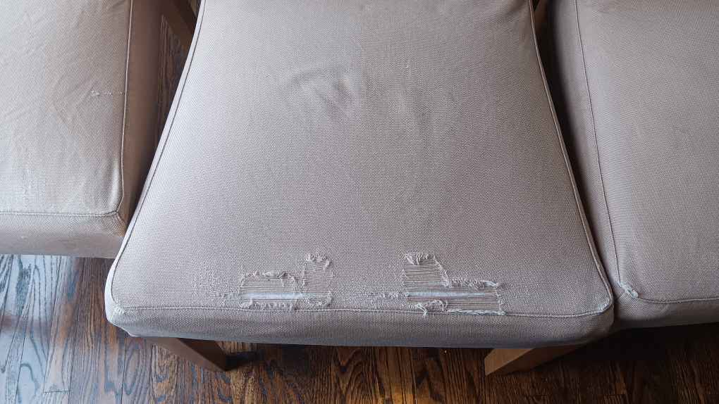 Set of 4 Dining Chairs - Free - photo 4