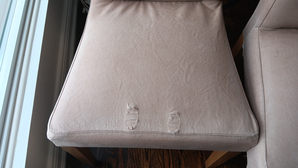 Set of 4 Dining Chairs - Free - photo 5
