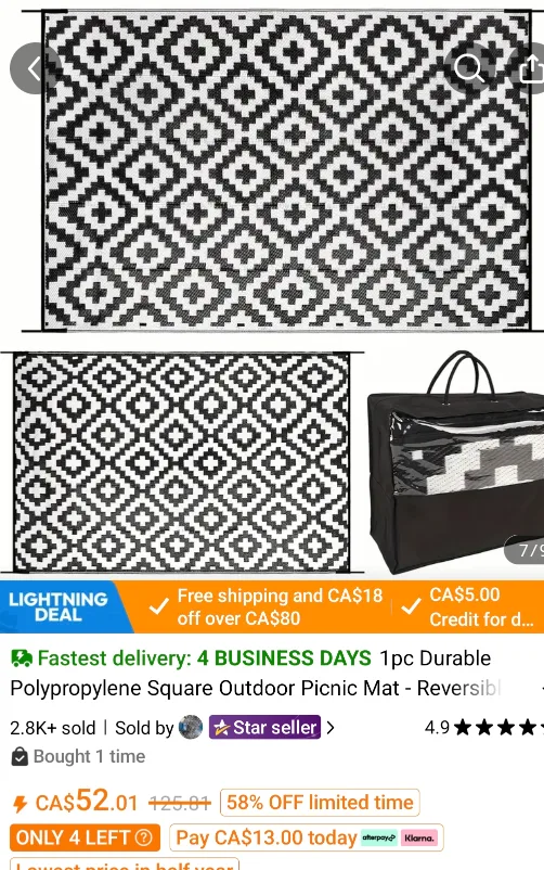 Reversible Outdoor Picnic Mat. Never used. thumbnail