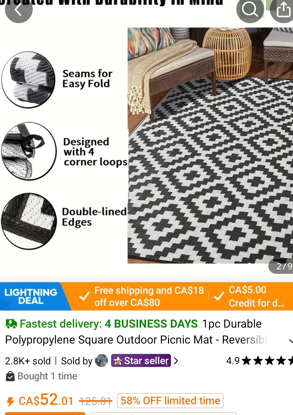 Reversible Outdoor Picnic Mat. Never used. image indicator(3)