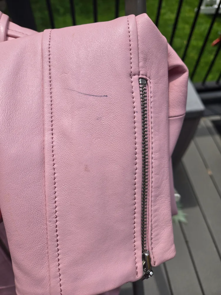 Danier Pink Leather Jacket image indicator(5)