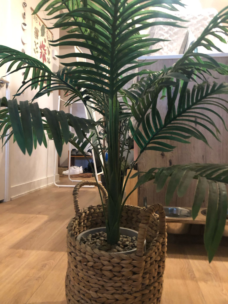Faux Palm Tree In Woven Basket