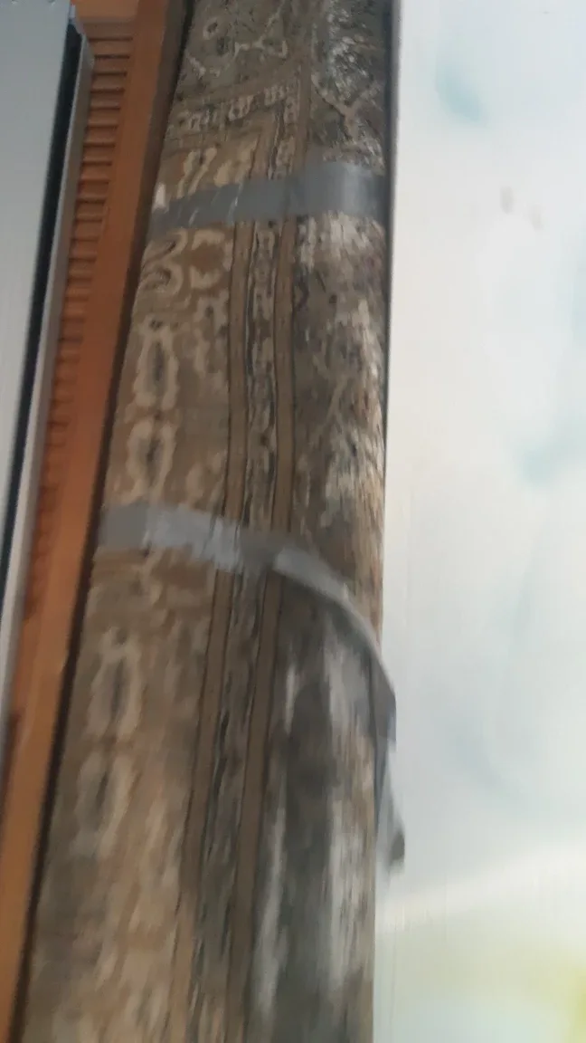 Patterned Area Rug thumbnail