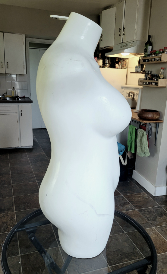 Female Mannequin Torso - photo 2