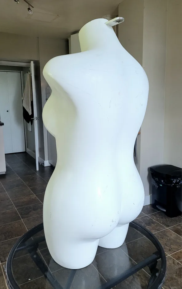 Female Mannequin Torso image indicator(3)