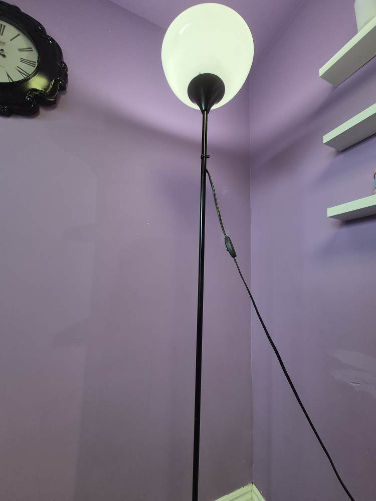 Modern Black Floor Lamp