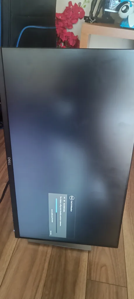 DELL  Flat Panel Monitör:P2419H image indicator(5)