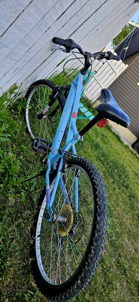 Raleigh Mountain Bike - Light Blue